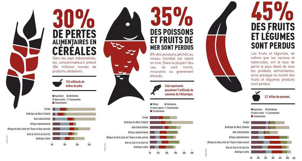 System • une photo avec une légende